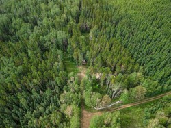 B 52044 Twp Rd 430 Rural Ponoka County, AB T0C 2J0