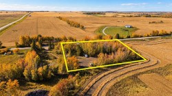 On RR 251 Rural Red Deer County, AB T0M 1S0