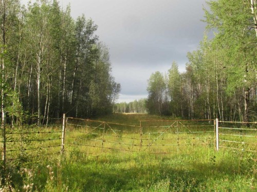 Highway 616, Rural Brazeau County, AB 