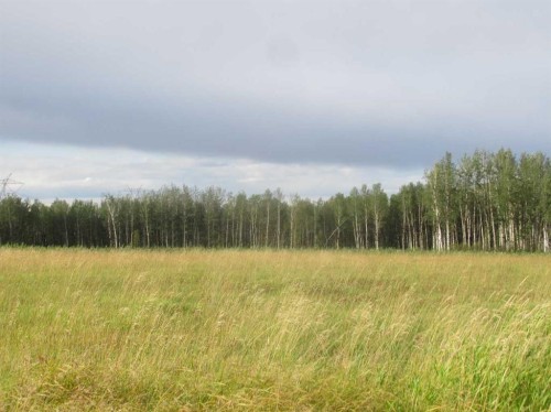 Highway 616, Rural Brazeau County, AB 