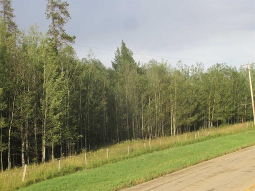 Highway 616, Rural Brazeau County, AB 