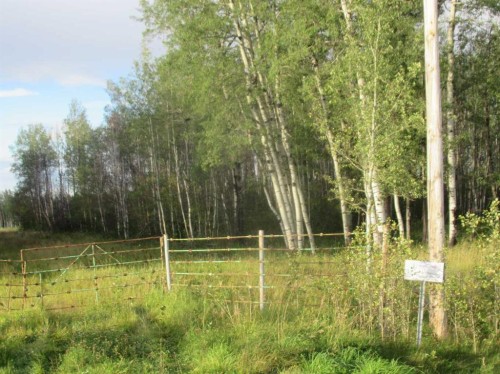 Highway 616, Rural Brazeau County, AB 