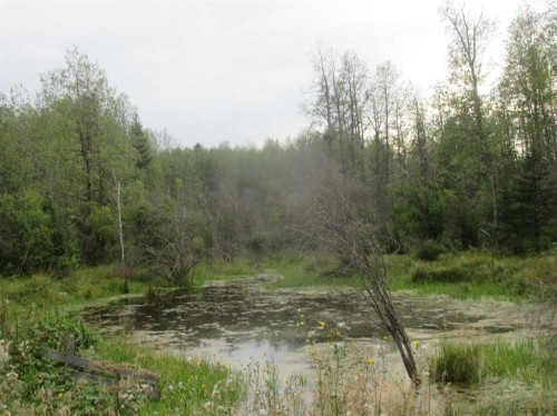 Highway 616, Rural Brazeau County, AB 