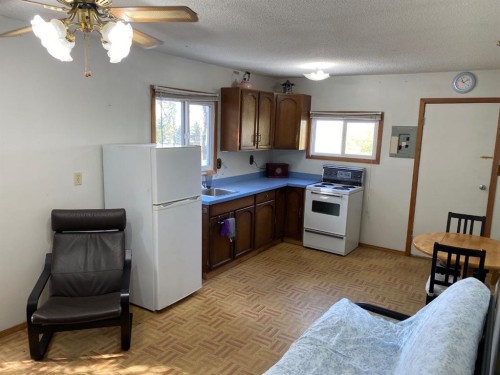 313 Minnewaukan Road, Tillicum Beach, AB 