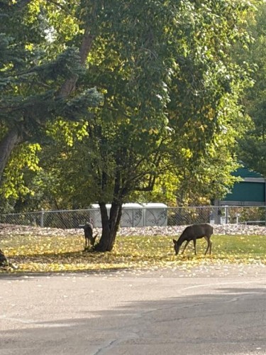 3 Points West Resort, Sylvan Lake, AB 