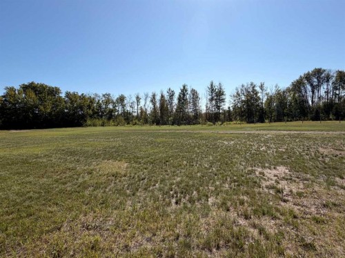 37412 Rrd 20-3, Rural Stettler No. 6, County Of, AB 
