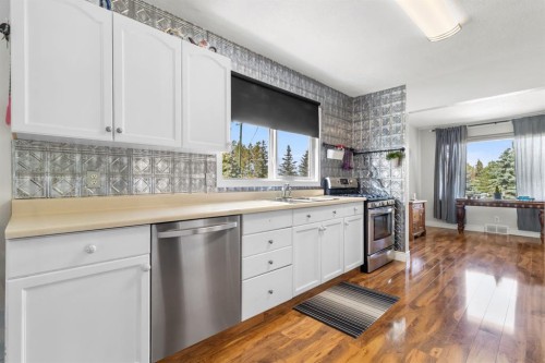 223 Devilder Avenue, Trochu, AB 
