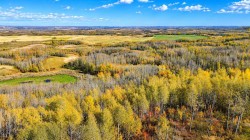 On Range Road 260 Rural Red Deer County, AB T4E 1E9
