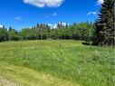 17-421022 Range Road 260, Rural Ponoka County, AB 