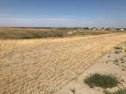 508 Gold Canyon Place SOUTH Lethbridge, AB T1K 8J1