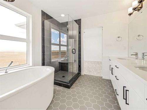 1136 Coalbrook Place West, Lethbridge, AB - Indoor Photo Showing Bathroom