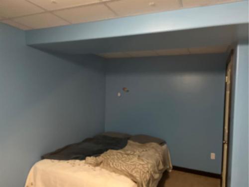 222 5Th Avenue, Burdett, AB - Indoor Photo Showing Bedroom