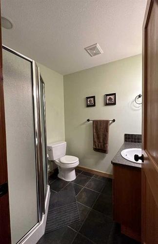 80 Ironstone, Blairmore, AB - Indoor Photo Showing Bathroom