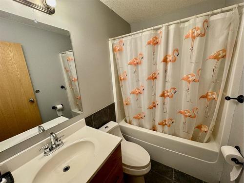 101 Avro Anson Road, Fort Macleod, AB - Indoor Photo Showing Bathroom