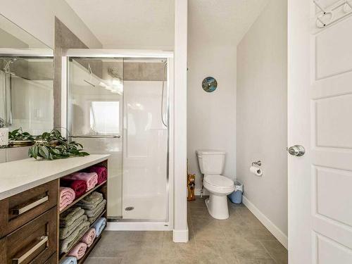 249 Greenwood Road, Coalhurst, AB - Indoor Photo Showing Bathroom
