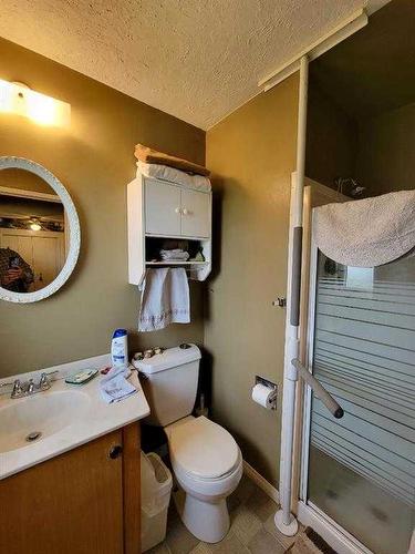 63064 Hwy 846, Stirling, AB - Indoor Photo Showing Bathroom