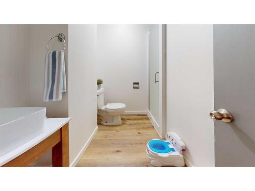 207 8 Street East, Vauxhall, AB - Indoor Photo Showing Bathroom