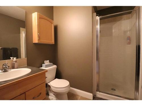 358 Kodiak Boulevard North, Lethbridge, AB - Indoor Photo Showing Bathroom