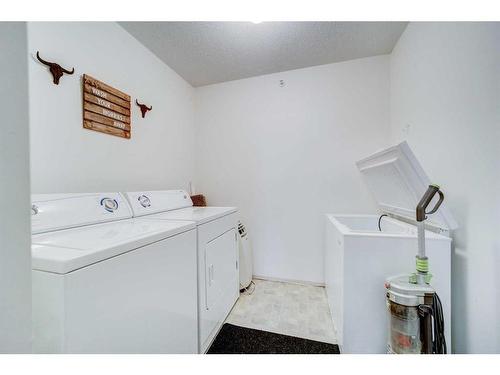 308-485 Red Crow Boulevard West, Lethbridge, AB - Indoor Photo Showing Laundry Room