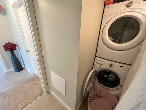 238-300 Marina Drive, Chestermere, AB - Indoor Photo Showing Laundry Room