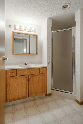 421-20 3 Street South, Lethbridge, AB - Indoor Photo Showing Bathroom