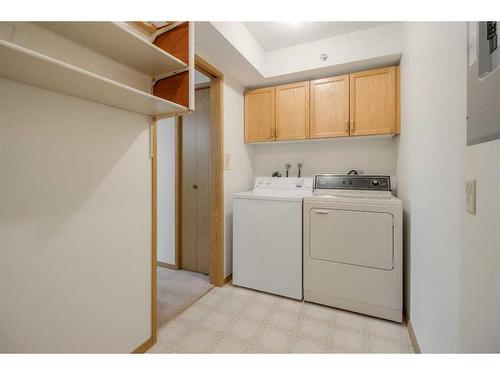 421-20 3 Street South, Lethbridge, AB - Indoor Photo Showing Laundry Room