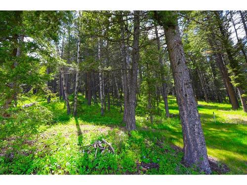 10 Burmis Mountain Estates, Pincher Creek, AB 