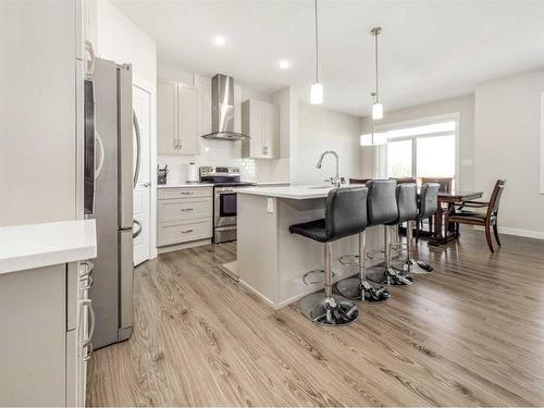 245 Crocus Terrace West, Lethbridge, AB - Indoor Photo Showing Kitchen With Stainless Steel Kitchen With Upgraded Kitchen