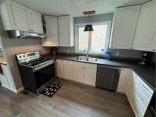 6 Larkspur Road North, Lethbridge, AB - Indoor Photo Showing Kitchen With Double Sink