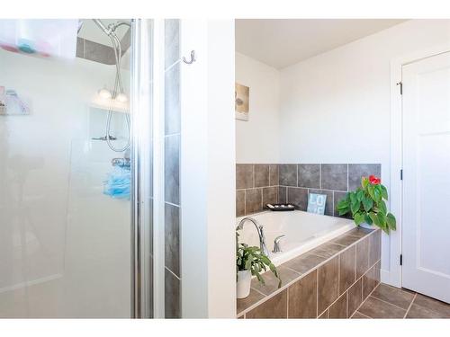 350 Twinriver Road West, Lethbridge, AB - Indoor Photo Showing Bathroom