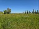 Rr 215, Rural Lethbridge County, AB 