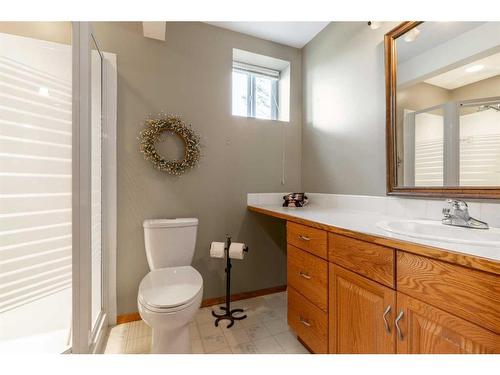 84053 Range Road 21-1, Rural Lethbridge County, AB - Indoor Photo Showing Bathroom