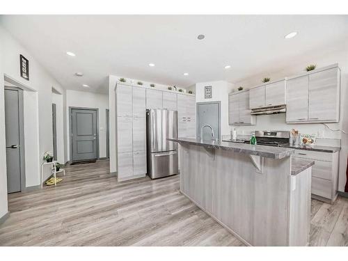 441 Devonia Way West, Lethbridge, AB - Indoor Photo Showing Kitchen With Upgraded Kitchen