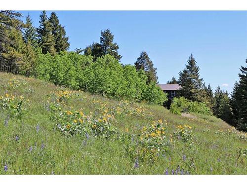 5414 Range Road 2-1A, Rural Pincher Creek No. 9, M.D. Of, AB - Outdoor With View