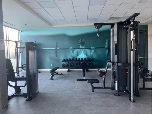 #115-102 Scenic Drive North, Lethbridge, AB - Indoor Photo Showing Gym Room