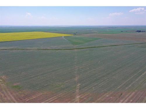 On Rr 211, Rural Lethbridge County, AB 