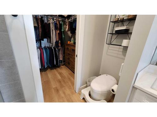 4617 26 Avenue South, Lethbridge, AB - Indoor Photo Showing Bathroom