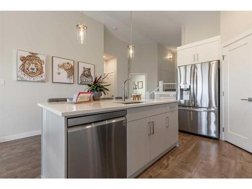 446 Bluebell Lane West, Lethbridge, AB - Indoor Photo Showing Kitchen With Upgraded Kitchen