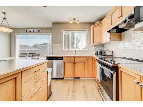 141 Peigan Court West, Lethbridge, AB - Indoor Photo Showing Kitchen With Double Sink