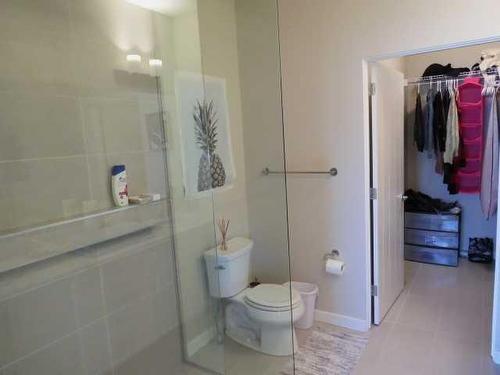 354 Uplands Boulevard North, Lethbridge, AB - Indoor Photo Showing Bathroom