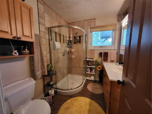 413 27 Street South, Lethbridge, AB - Indoor Photo Showing Bathroom