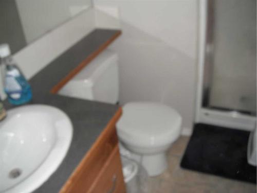 4-129 Silkstone Road West, Lethbridge, AB - Indoor Photo Showing Bathroom