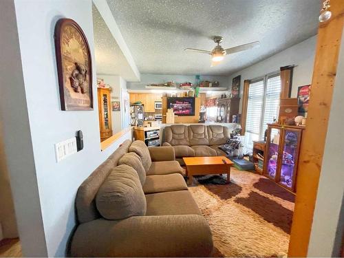 131 And 135 2 Avenue South, Champion, AB - Indoor Photo Showing Living Room