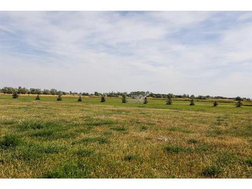 93065 Range Rd 164, Rural Taber, M.D. Of, AB - Outdoor With View