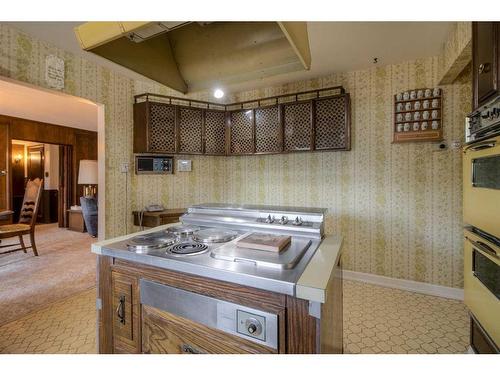 2808 South Parkside Drive South, Lethbridge, AB - Indoor Photo Showing Kitchen