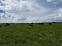 On Hwy 501, Rural Cardston County, AB 