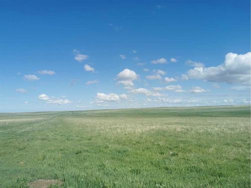 On Hwy 501, Rural Cardston County, AB 