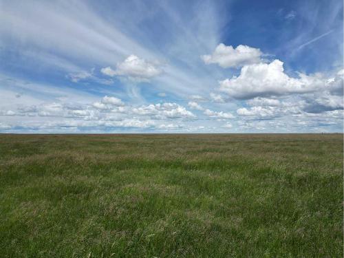 On Hwy 501, Rural Cardston County, AB 