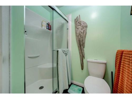 633 5 Street South, Lethbridge, AB - Indoor Photo Showing Bathroom