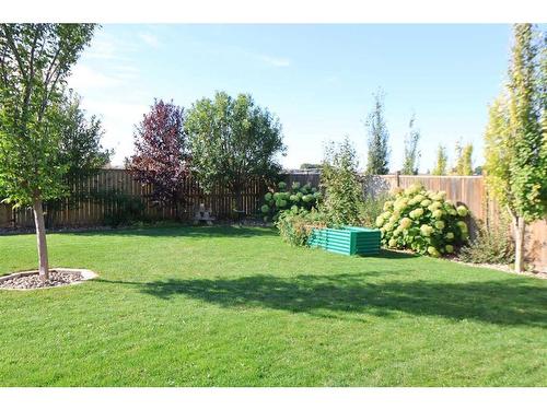 609 10 Avenue West, Barnwell, AB - Outdoor With Backyard